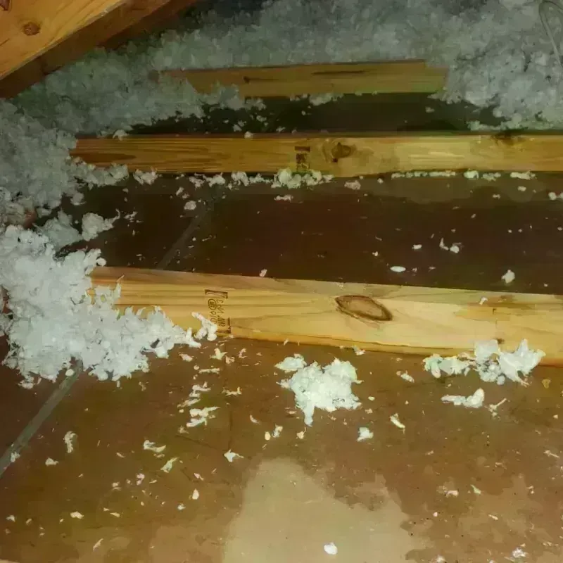 Attic Water Damage in Meade County, SD